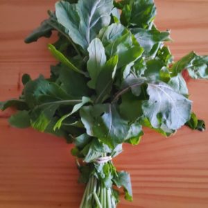 Organic rocket (aka roquette) from the Garden Route